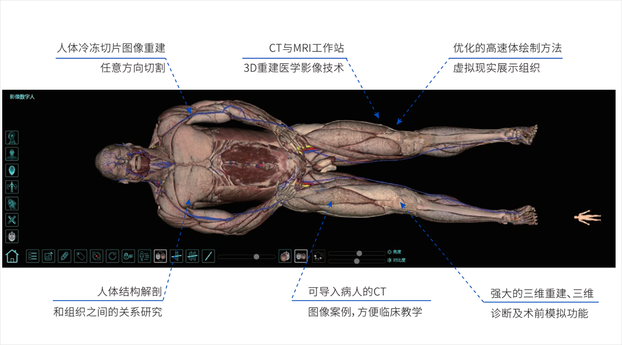 影像解剖系統